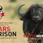 WhatsApp Image 2025-10-13 at 7.23.38 PM