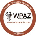 wpaz logo